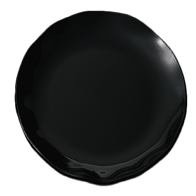 Thunder Group, RF1018B, Plate, Plastic