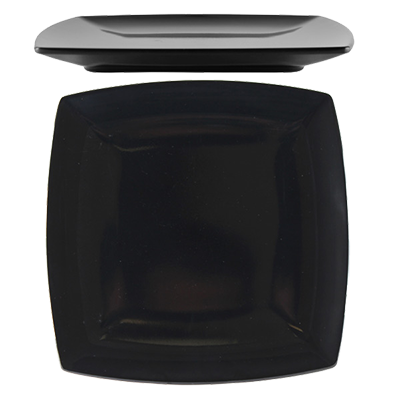 Thunder Group, 29012BK, Plate, Plastic