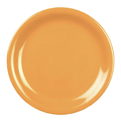 Thunder Group, CR107YW, Plate, Plastic