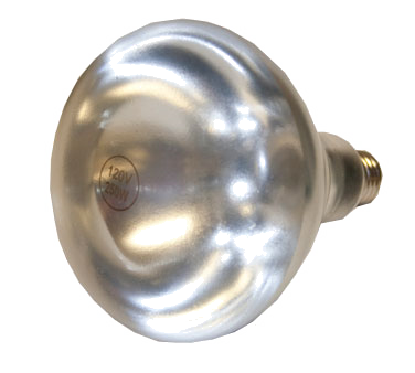 Globe, CHL-BULB, Heat Lamp Bulb